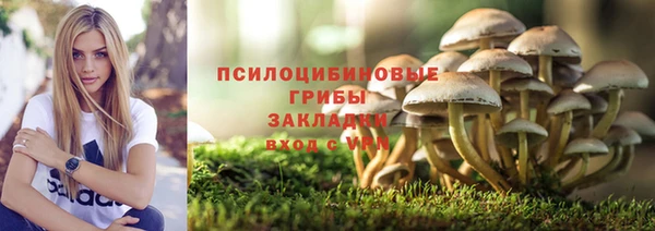 герыч Алексин