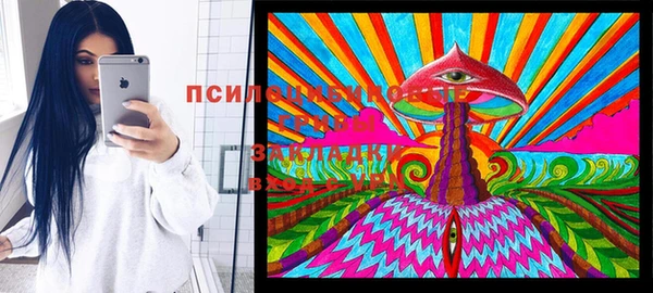 герыч Алексин