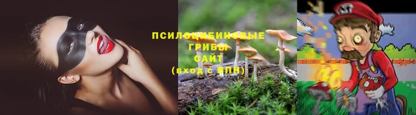 каннабис Алексеевка