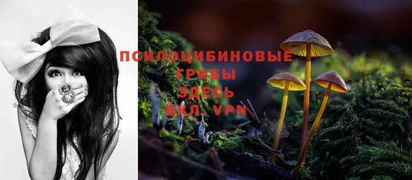 спиды Алзамай